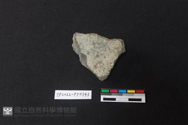 陶片藏品圖，第2張