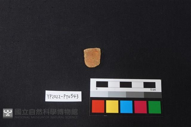 陶片藏品圖，第2張
