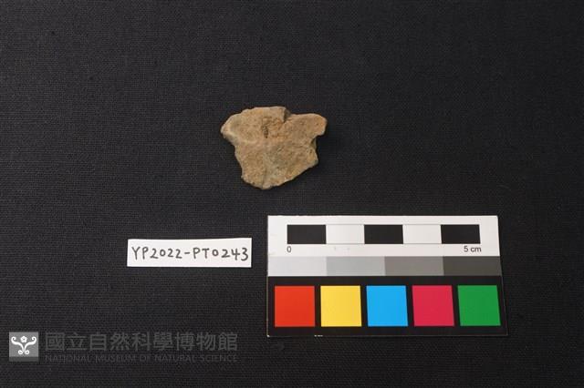 陶片藏品圖，第2張