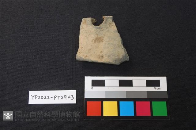 陶片藏品圖，第2張