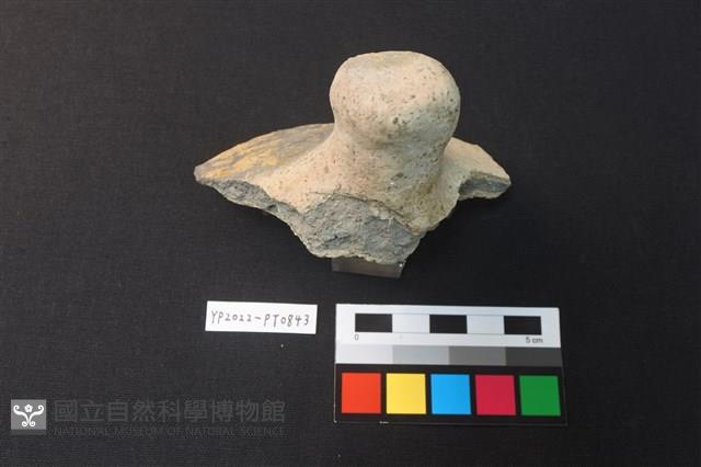 蓋鈕藏品圖，第2張