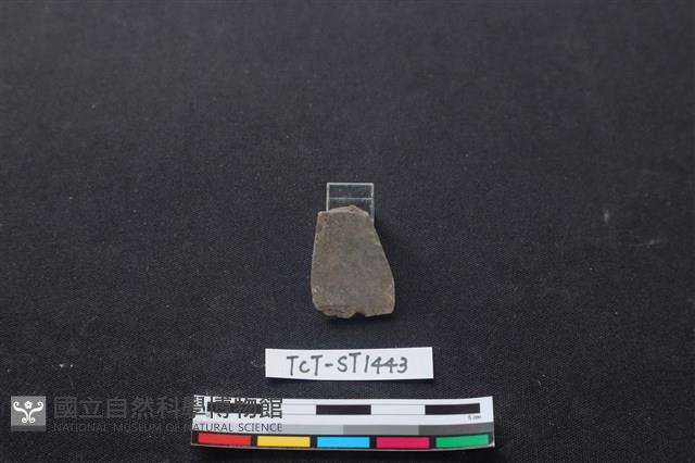 矛鏃形器藏品圖，第2張