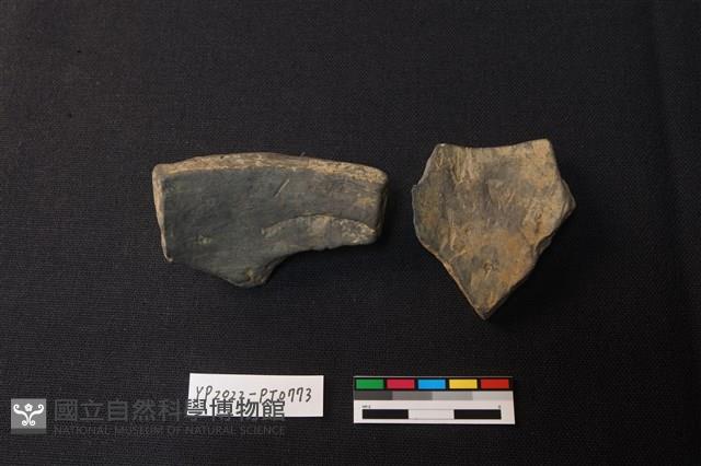 陶片藏品圖，第2張