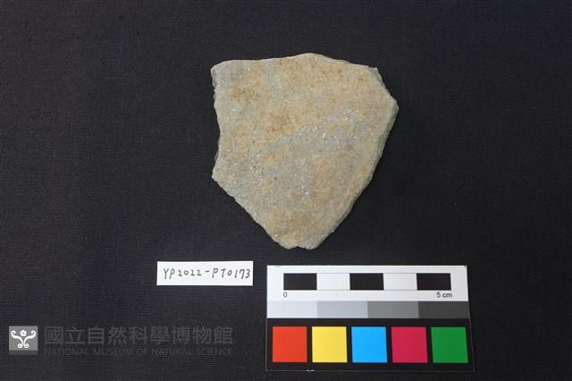 陶片藏品圖，第2張