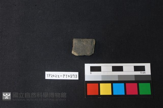 陶片藏品圖，第2張