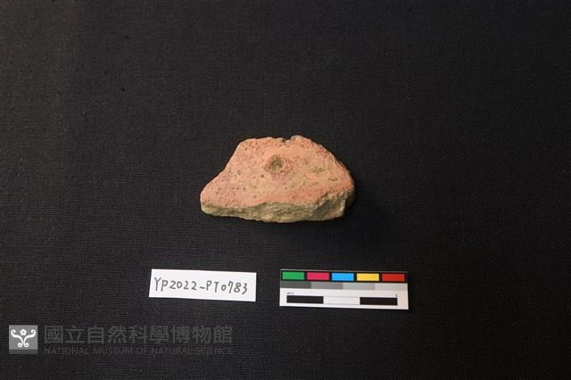 陶片藏品圖，第2張