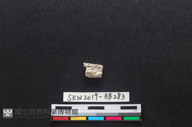 獸骨藏品圖，第2張