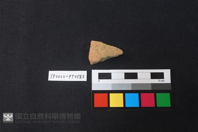 陶片藏品圖，第2張