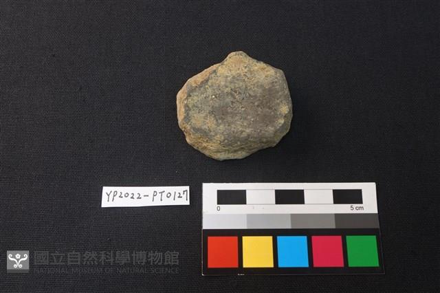 小圓板藏品圖，第2張
