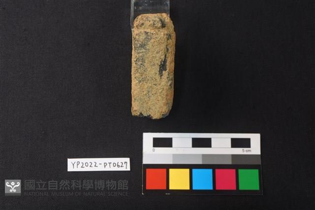 陶網墜藏品圖，第2張