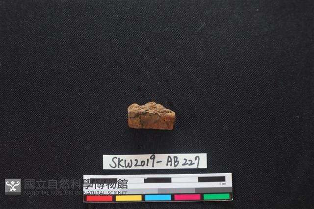 獸骨藏品圖，第2張