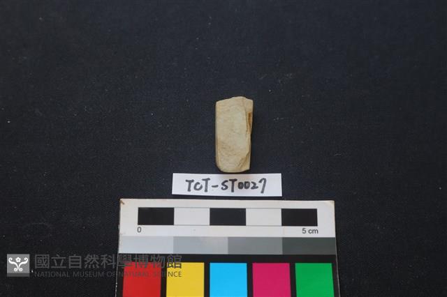 錛鑿形器藏品圖，第2張