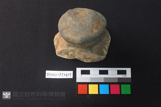 陶鈕藏品圖，第2張