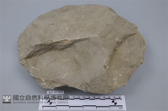 石核藏品圖，第2張