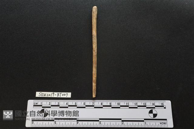 骨尖器藏品圖，第2張