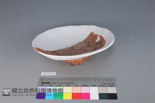 豆形器藏品圖，第2張