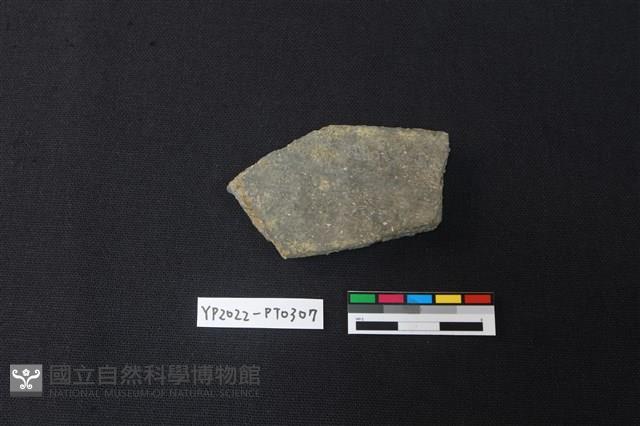 陶片藏品圖，第2張