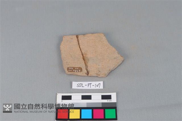 陶片藏品圖，第2張