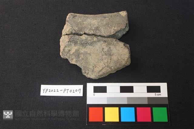 陶片藏品圖，第2張