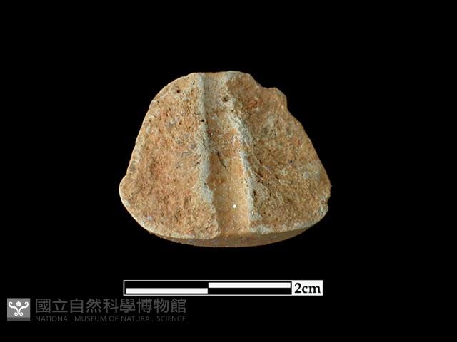 陶紡輪藏品圖，第2張