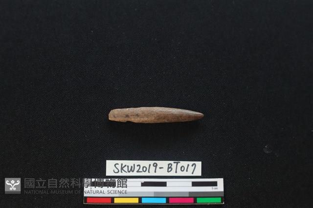 魚卡子藏品圖，第2張