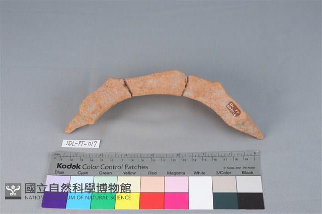 陶罐藏品圖，第2張