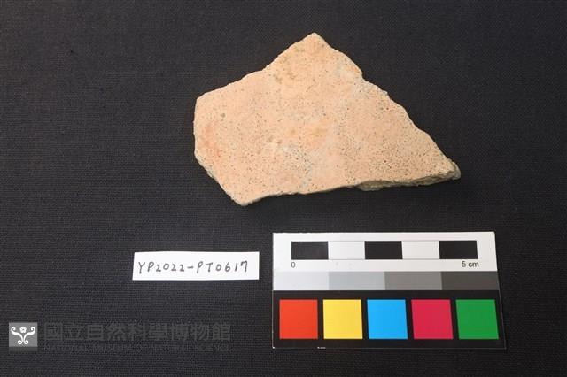 陶片藏品圖，第2張
