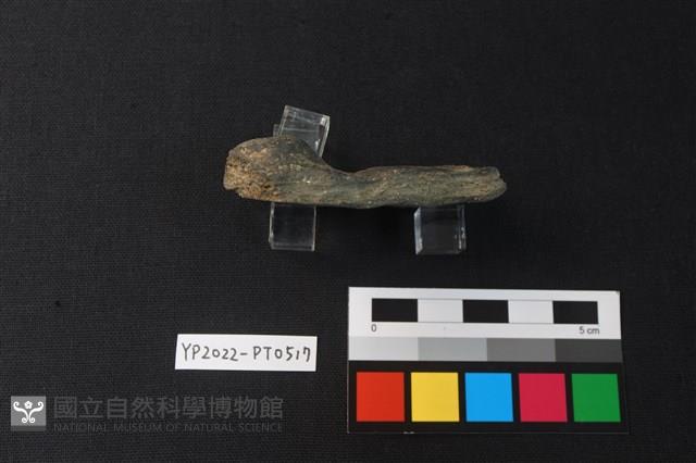 陶片藏品圖，第2張