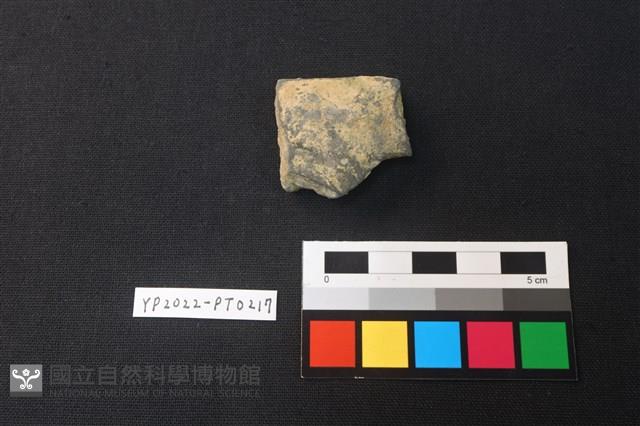 陶片藏品圖，第2張