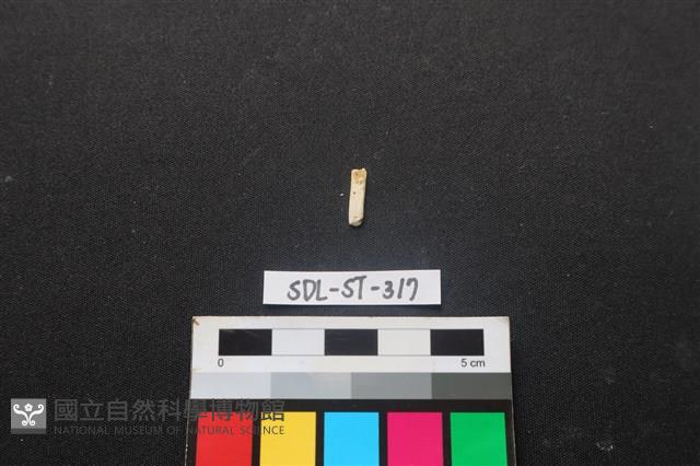 玉飾藏品圖，第2張