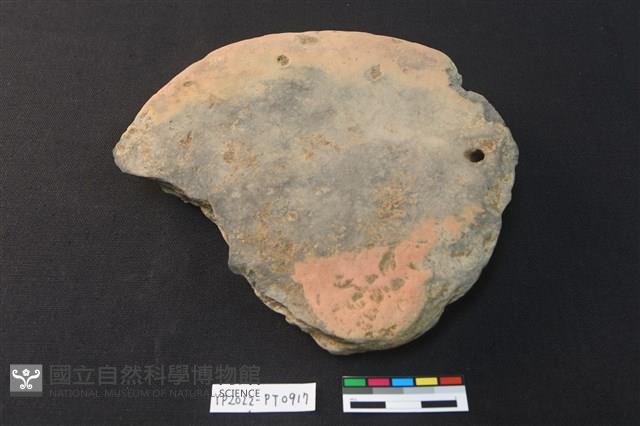 陶片藏品圖，第2張