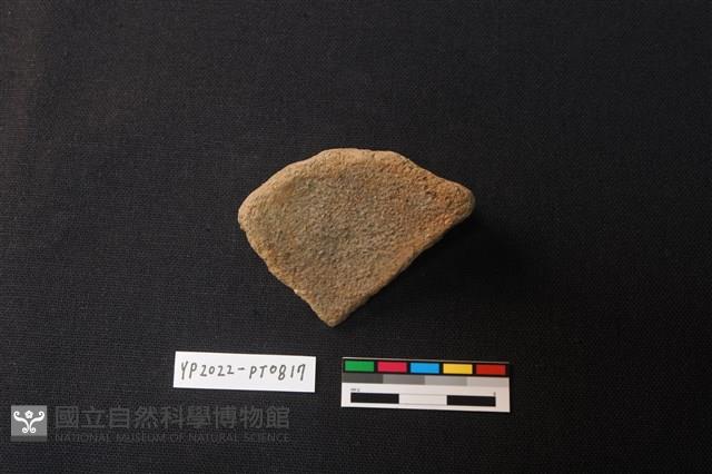 陶片藏品圖，第2張