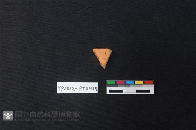 陶片藏品圖，第2張