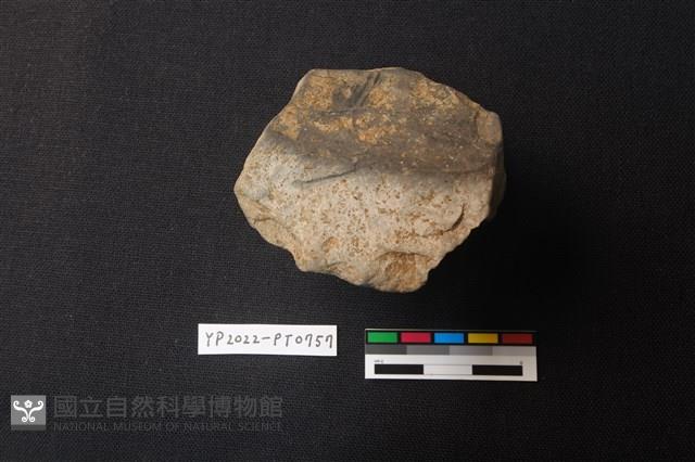 陶片藏品圖，第2張