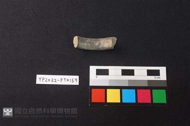 陶環藏品圖，第2張