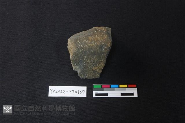 陶片藏品圖，第2張