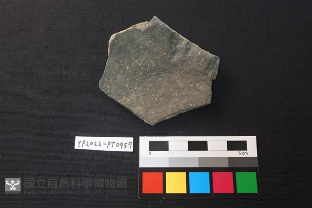 陶片藏品圖，第2張