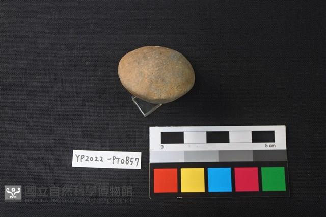 陶鈕藏品圖，第2張