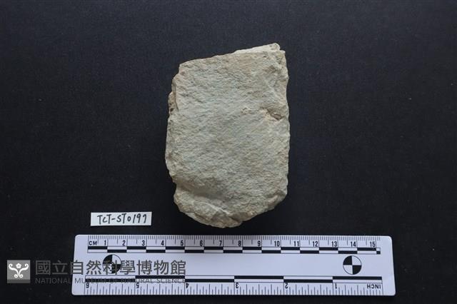 斧鋤形器藏品圖，第2張