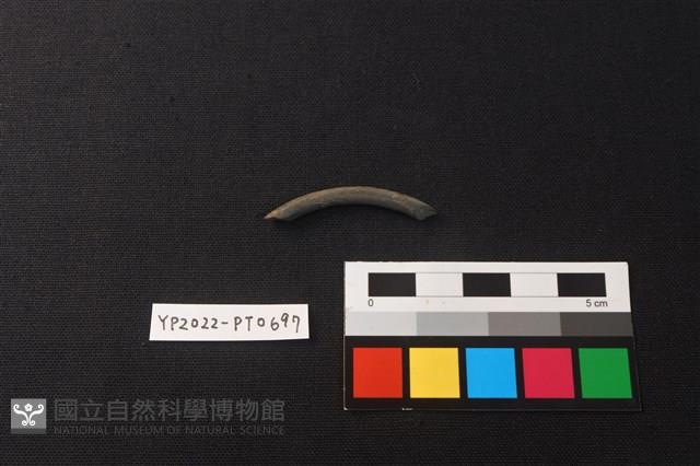 陶環藏品圖，第2張
