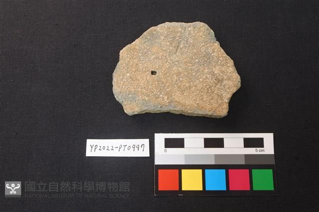 陶片藏品圖，第2張