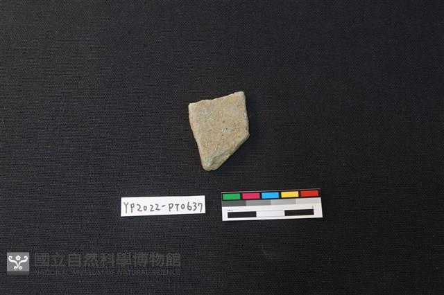 陶片藏品圖，第2張