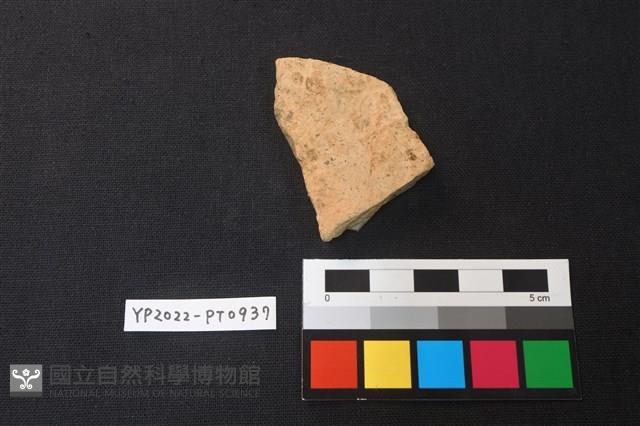 陶片藏品圖，第2張