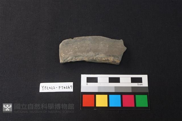 陶片藏品圖，第2張