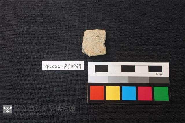 陶片藏品圖，第2張