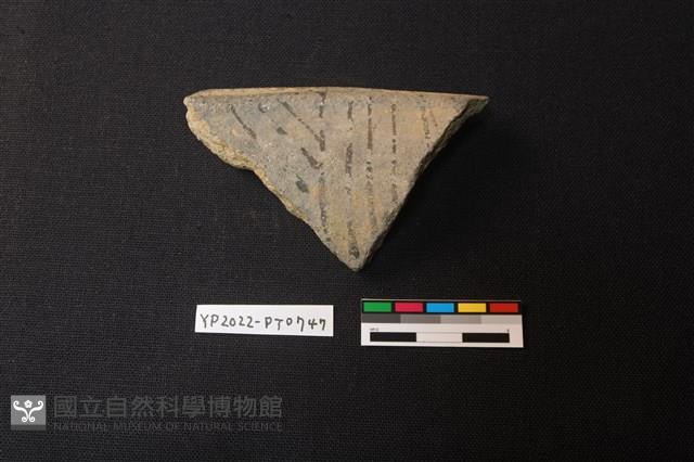 陶片藏品圖，第2張