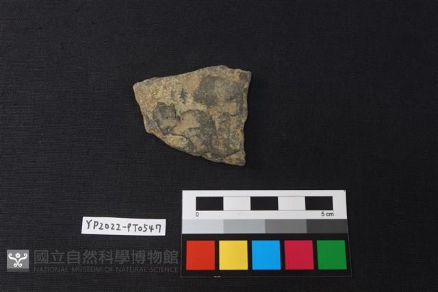 陶片藏品圖，第2張