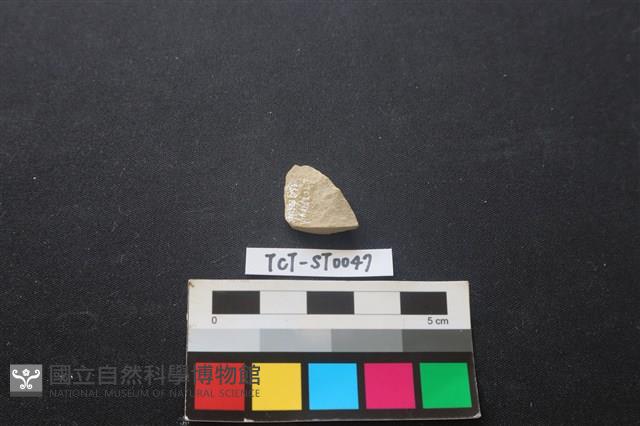 錛鑿形器藏品圖，第2張
