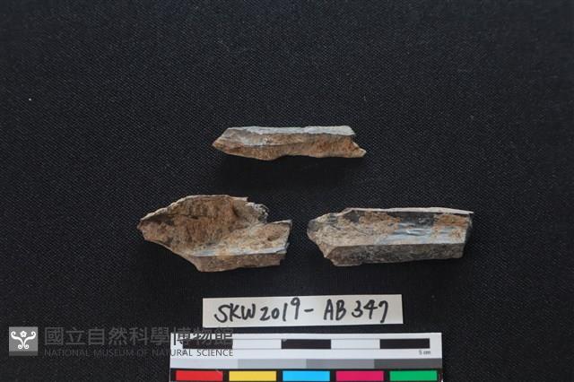 獸骨藏品圖，第2張