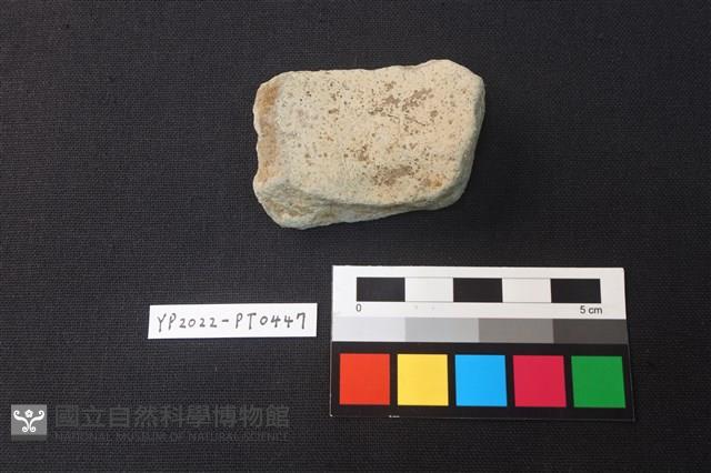 陶片藏品圖，第2張